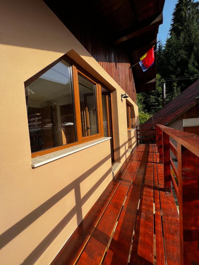 Vila Ioana Rîu de Mori Exteriér fotografie