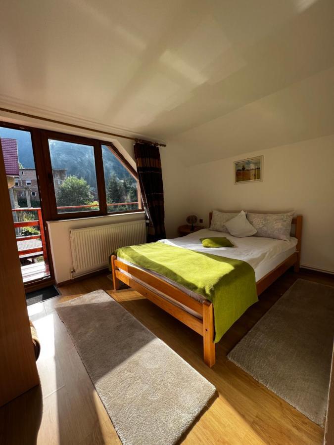 Vila Ioana Rîu de Mori Exteriér fotografie