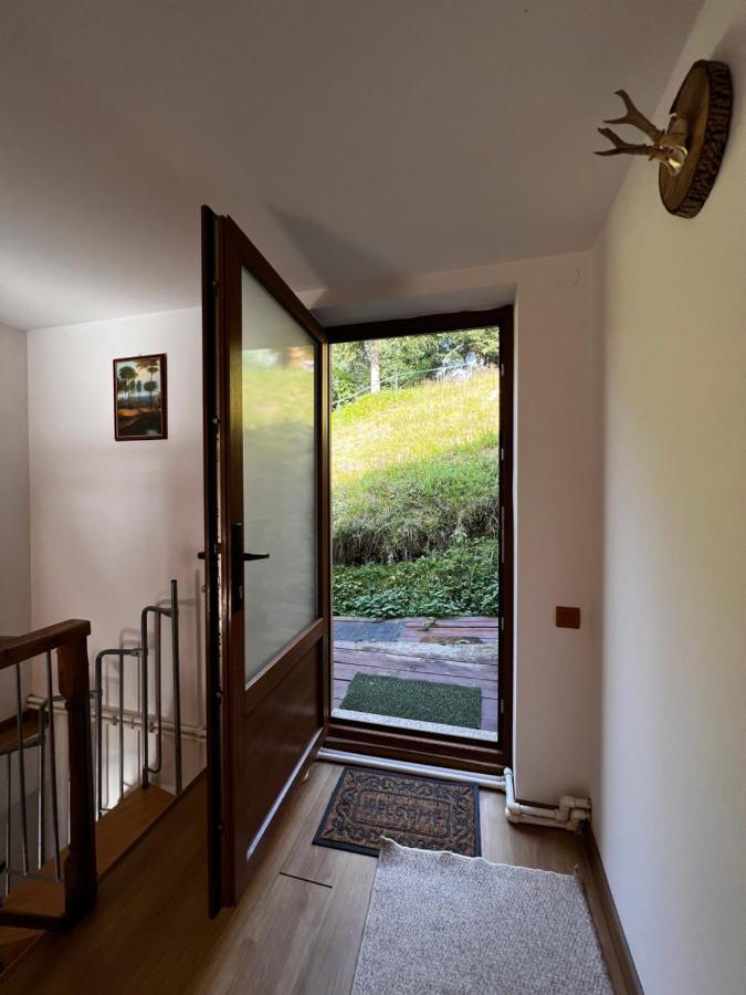 Vila Ioana Rîu de Mori Exteriér fotografie
