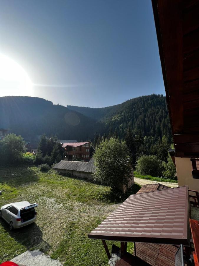 Vila Ioana Rîu de Mori Exteriér fotografie