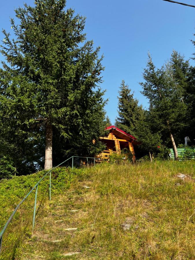 Vila Ioana Rîu de Mori Exteriér fotografie