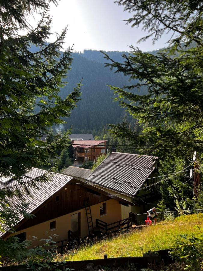 Vila Ioana Rîu de Mori Exteriér fotografie